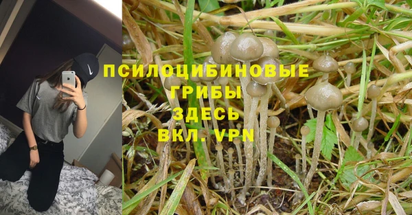 меф Новозыбков